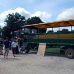 childrens-farm-dorset