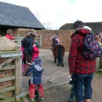 Our small riding stables