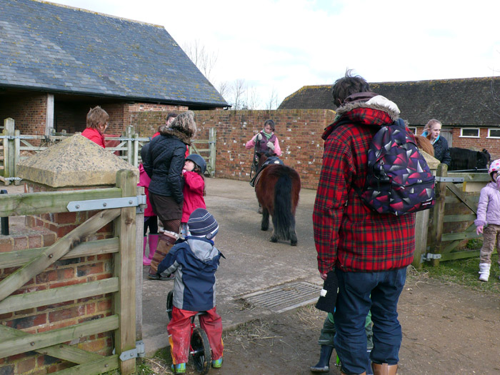 Our small riding stables
